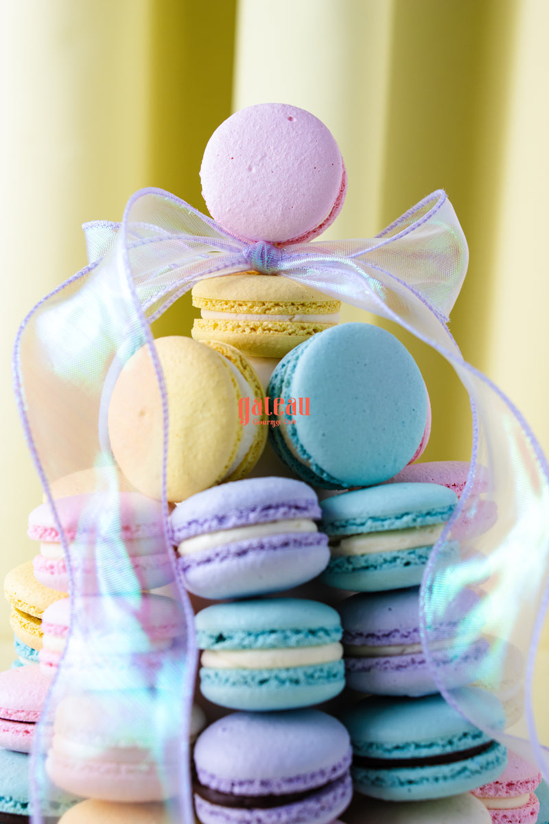 MACARON 沖澤真紀子-時計-basket MACARON 沖澤真紀子-時計-basket