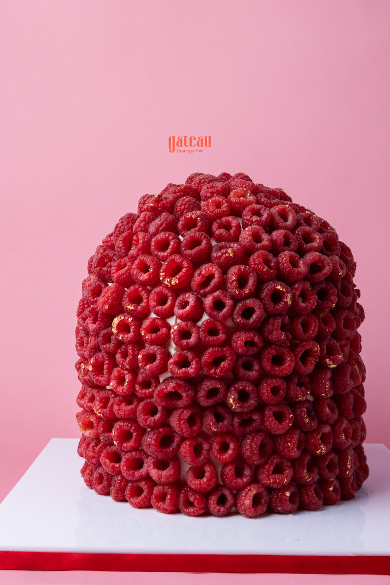 Raspberry Super Overload Cake – Gateau Gourmet