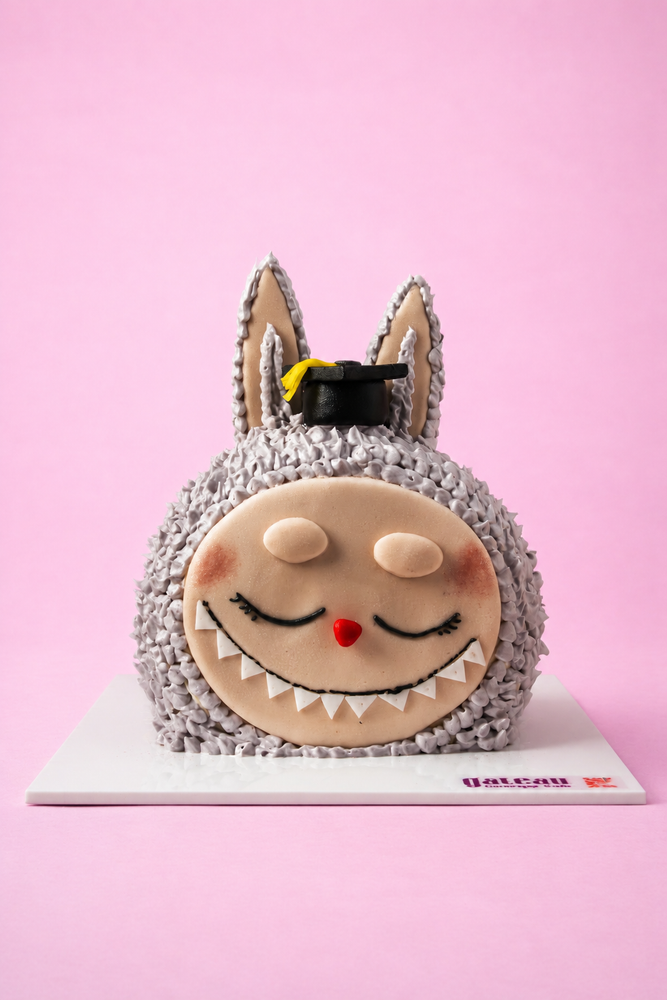 Graduation Character Cake | Gateau Gourmet