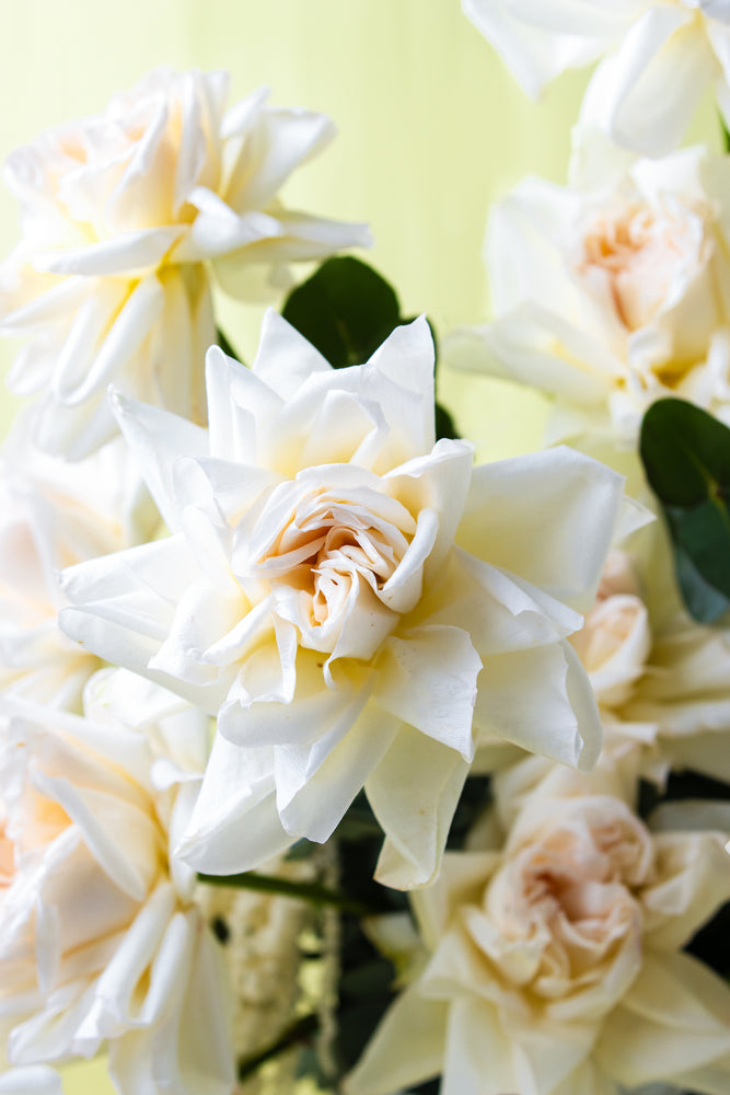 White Rose Perfection Flower Arrangement