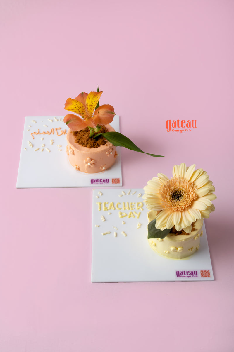 Mono Flower Pot Cake — handcrafted by Gateau Gourmet in Abu Dhabi
