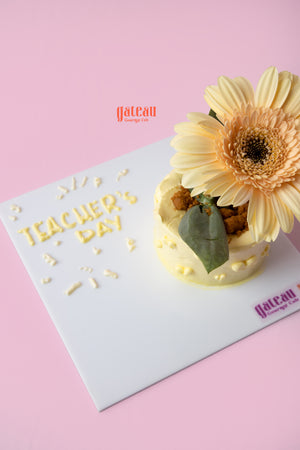 Mono Flower Pot Cake