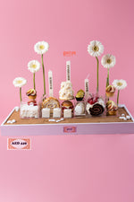 Desert Picnic Treats Tray