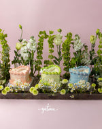 Gateau Gourmet Cafe pastel heart-shaped cakes with floral cake arrangements of white and yellow flowers
