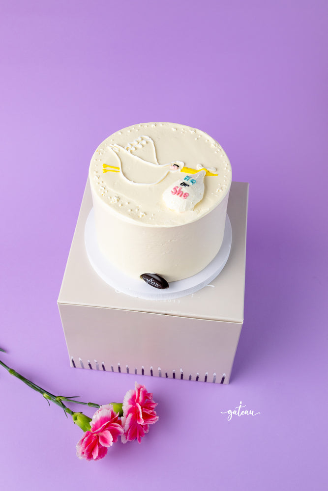 Gateau Gourmet Cafe gender reveal cake with white frosting and stork design on top
