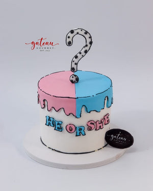Colorful Gender Reveal Cake with pink and blue frosting and question mark topper for celebrations