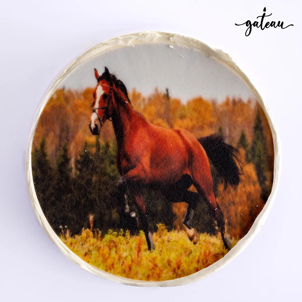 Minimalist photo cake by Gateau Gourmet Cafe featuring a horse running in autumn landscape