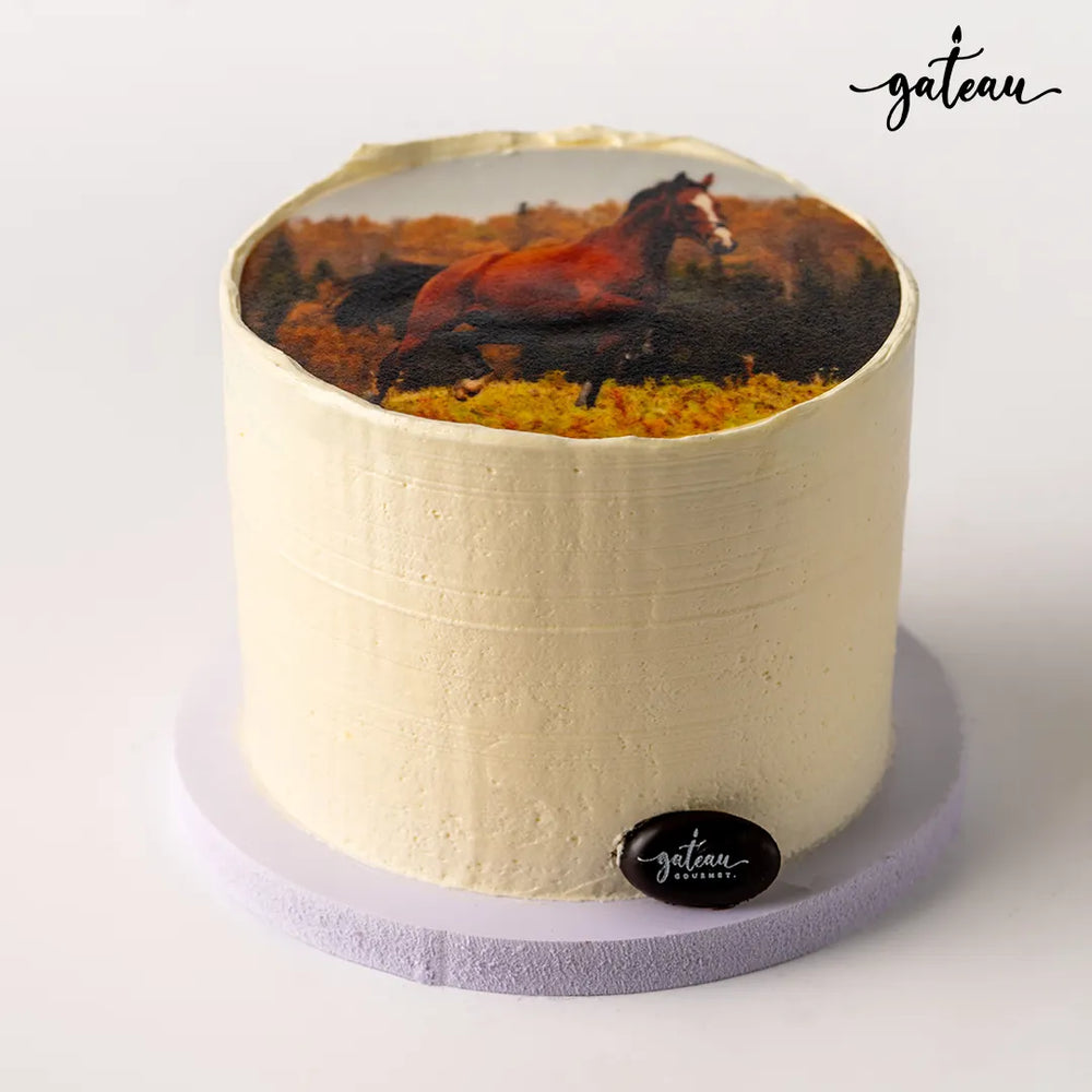 Gateau Gourmet Cafe minimalist photo cake with a horse image on top and smooth white frosting