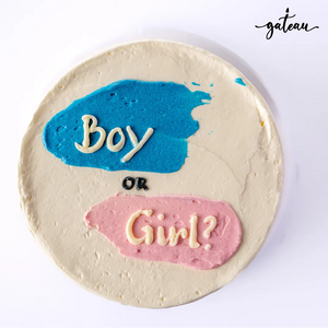 Pink and blue reveal cake with 'Boy or Girl?' written on top in bold colors