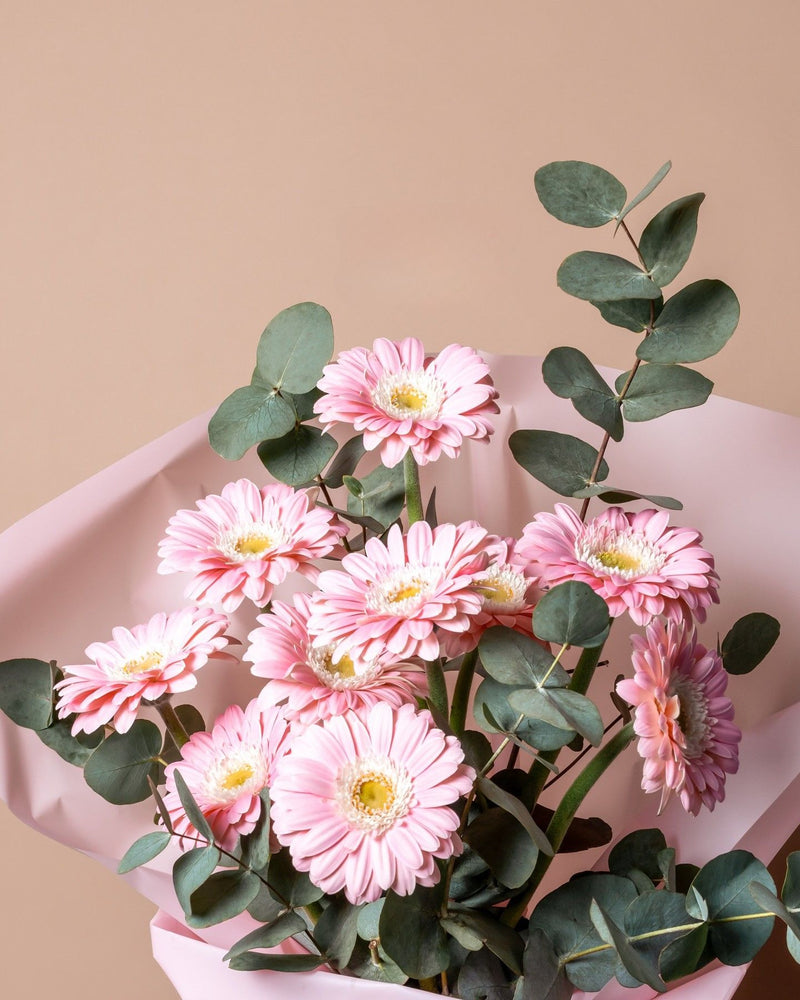 Bouquet of Pink Gerbera Flowers surrounded by eucalyptus leaves in soft pink wrapping