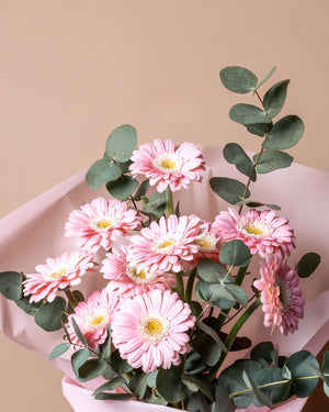 Bouquet of Pink Gerbera Flowers surrounded by eucalyptus leaves in soft pink wrapping