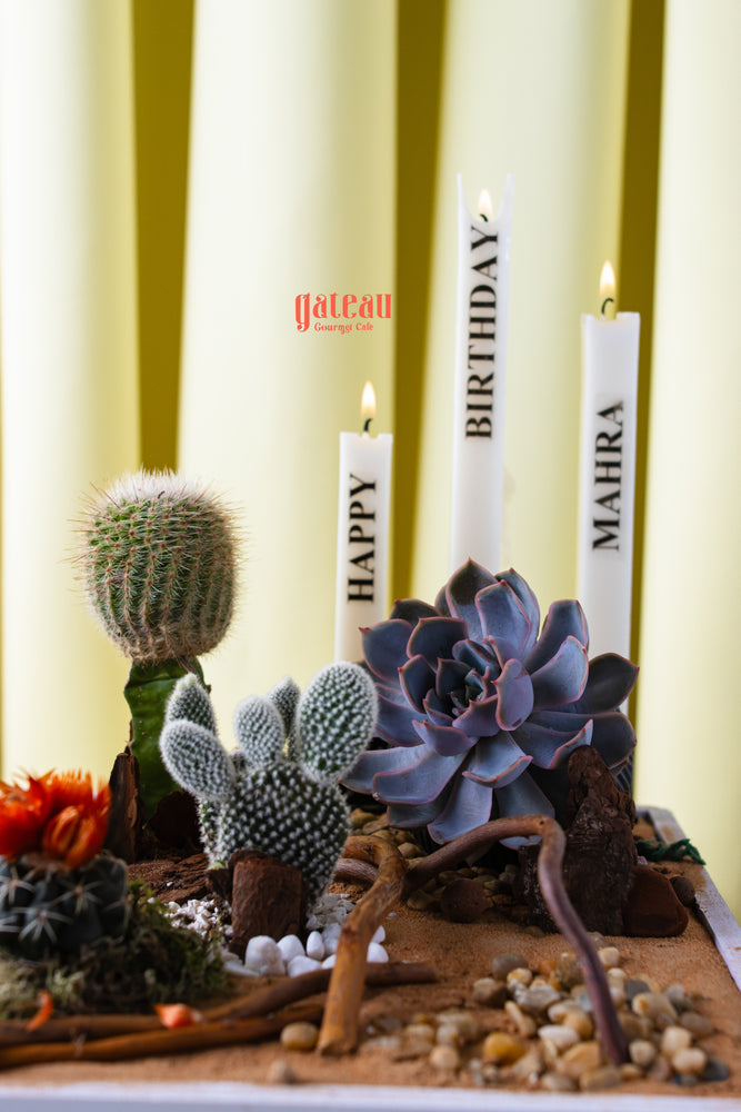 Gateau Gourmet Cafe summer cactus cake decorated with realistic cactus plants and birthday candles