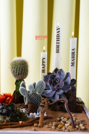 Gateau Gourmet Cafe summer cactus cake decorated with realistic cactus plants and birthday candles