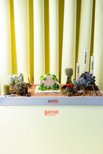 Gateau Gourmet Cafe summer cactus cake decorated with green cactus frosting and surrounded by real succulents and candles