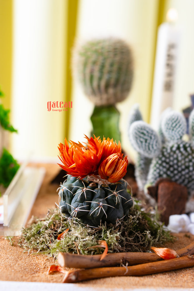 Summer cactus cake by Gateau Gourmet Cafe with realistic cactus design and orange flowers