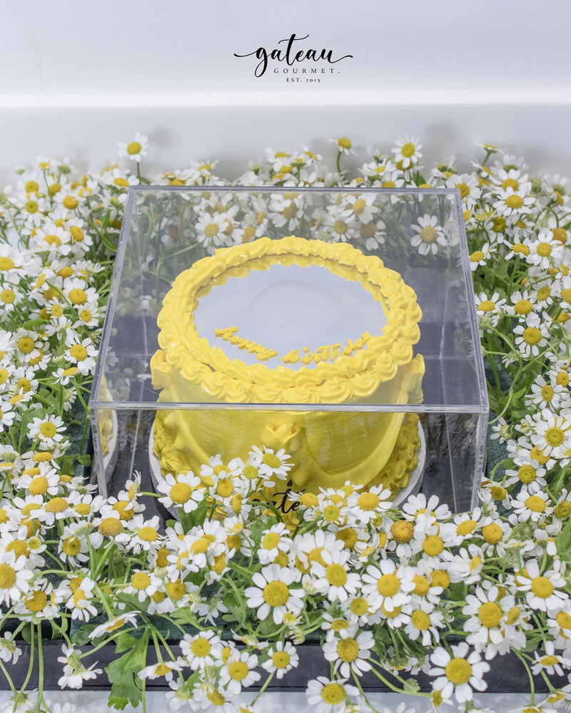 Yellow gourmet mirror cake in clear box surrounded by white daisies from Gateau Gourmet Cafe for gourmet mirror cake delivery