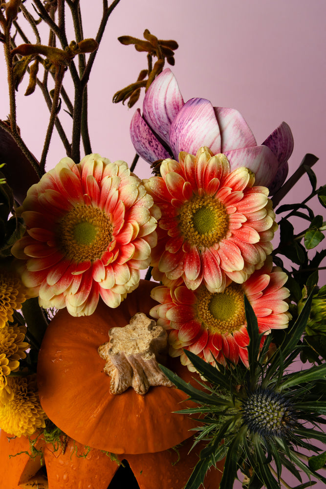 Halloween pumpkin flower arrangement featuring vibrant flowers and seasonal decorations