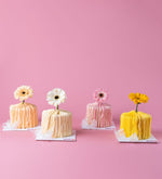 Mini Cake with Fresh Gerbera Flower in pastel colors by Gateau Gourmet Cafe on a pink background