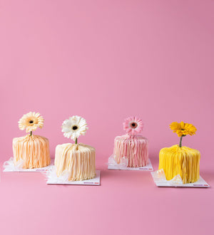 Mini Cake with Fresh Gerbera Flower in pastel colors by Gateau Gourmet Cafe on a pink background